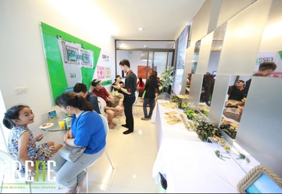 Gallery Slide